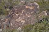 petroglyphs